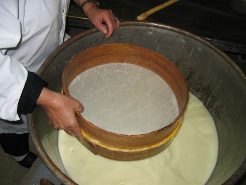 scuola di formaggio-45.JPG
